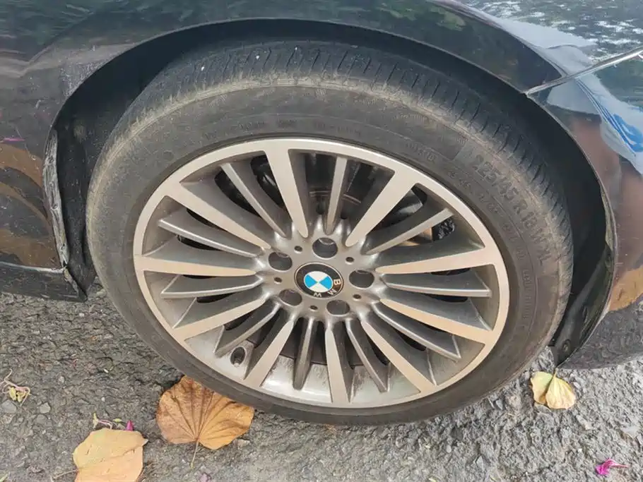 BMW 3 Series 2019 320Li Fashion Type фото 6