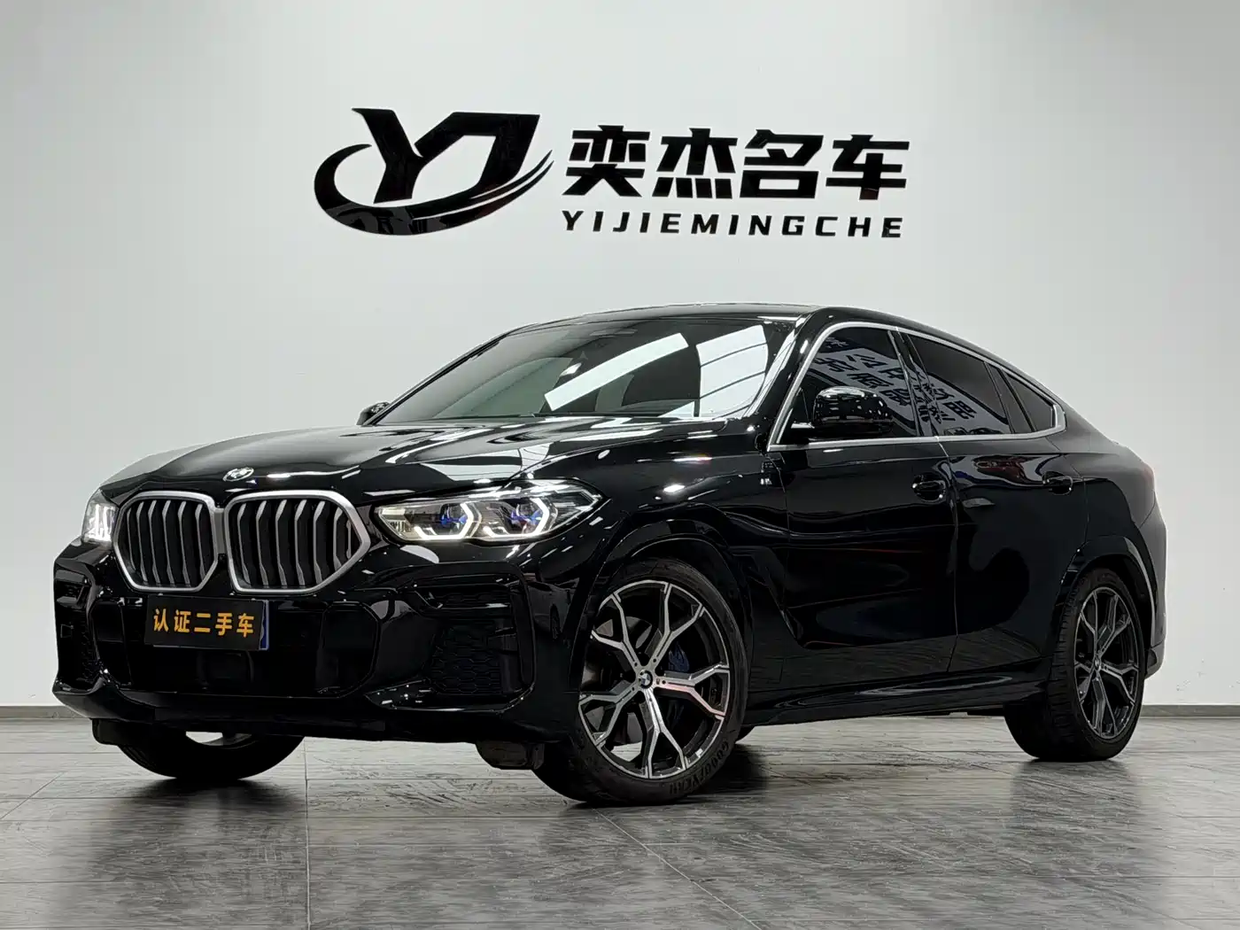 BMW X6