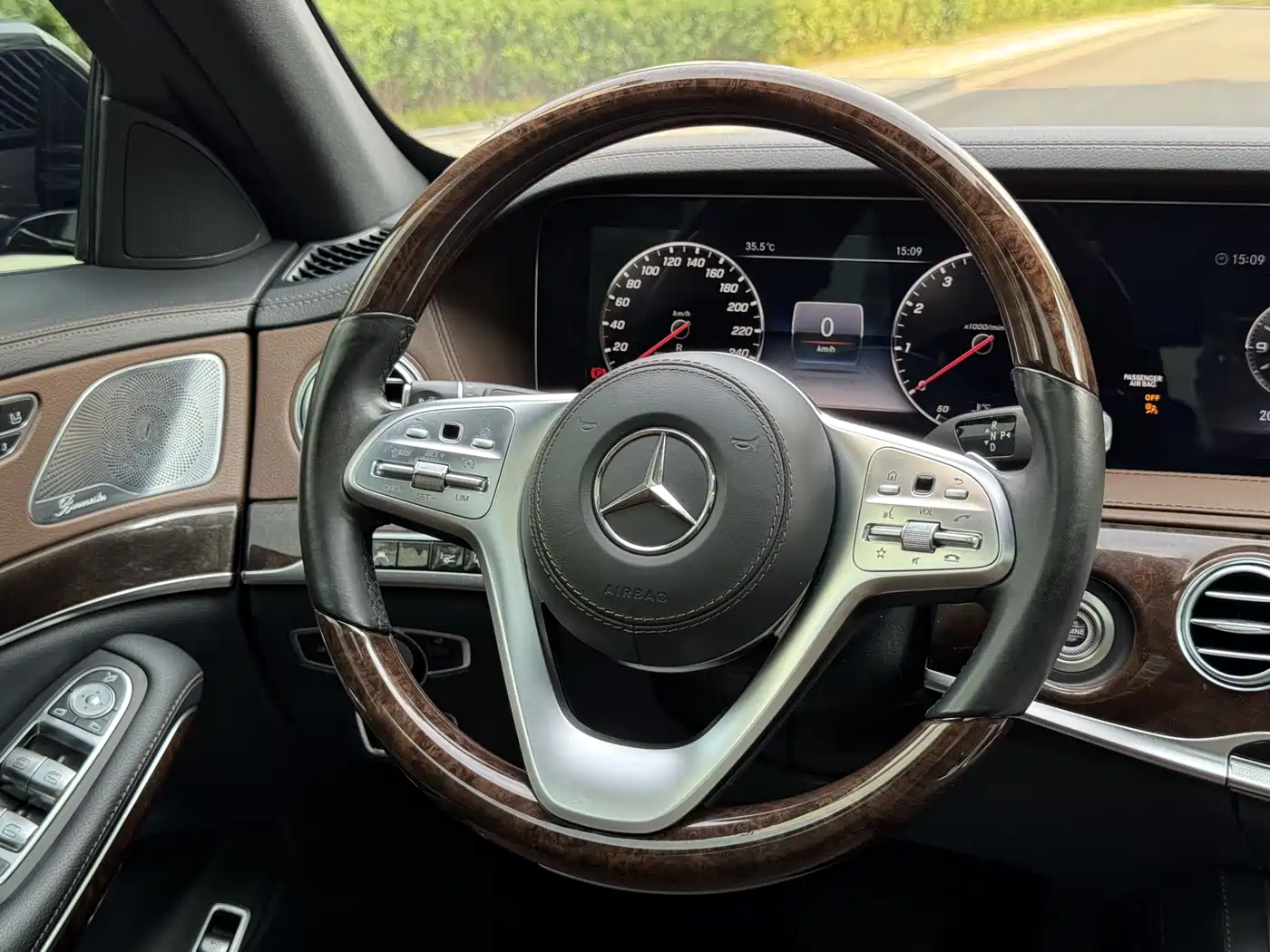 Mercedes-Benz S-Class 2019 S 350 L Luxury фото 12