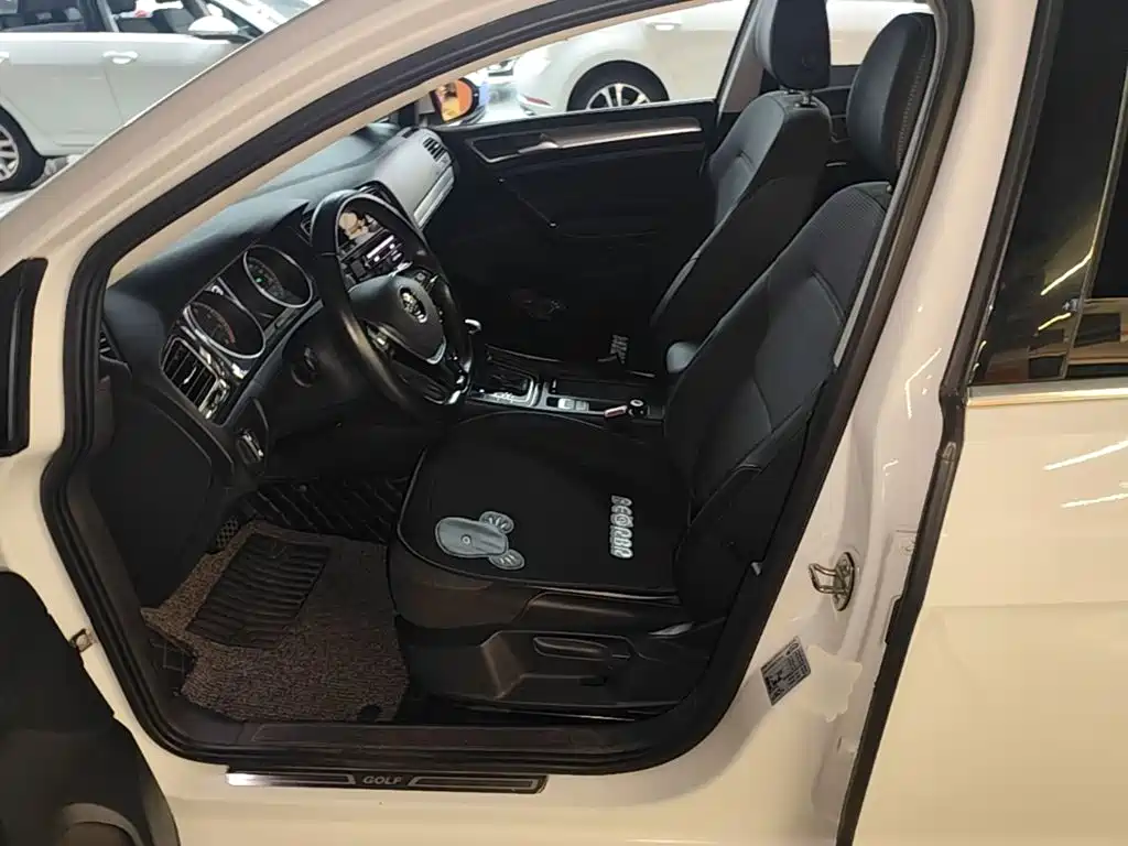 صورة 15 - Volkswagen Golf