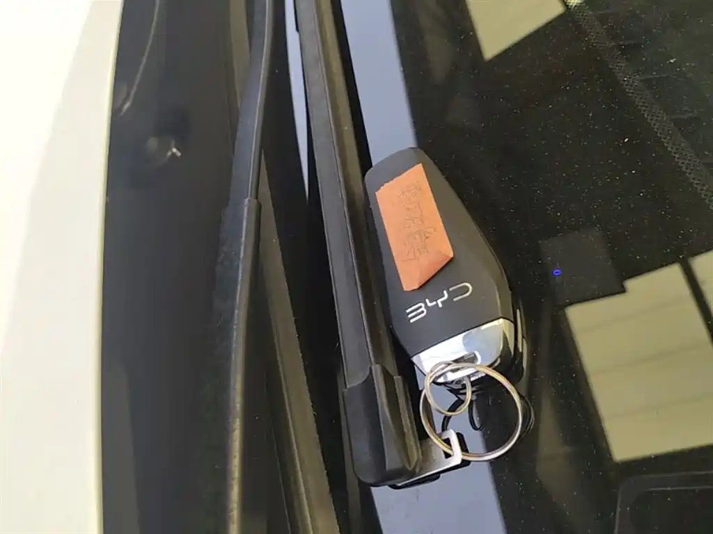 BYD Qin PLUS 2024 Glory Edition DM-i 55KM Leading фото 9