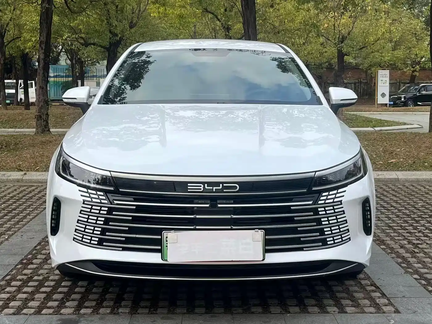 BYD Destroyer 05 2024 2024 Glory Edition DM-i 55KM Luxury
