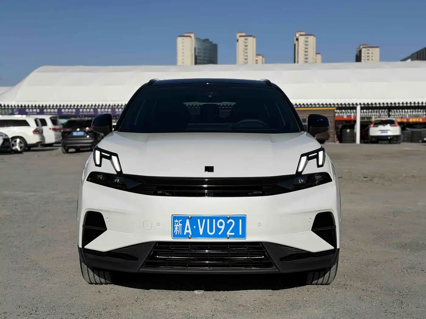 LYNK 06