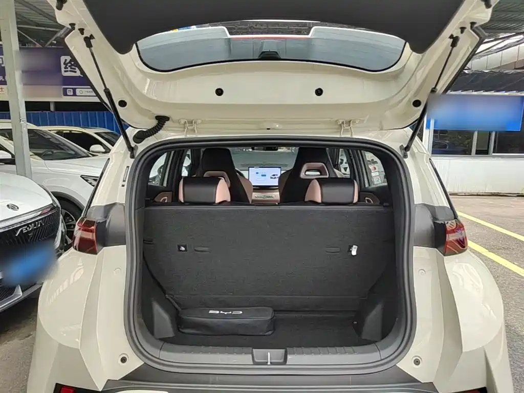 BYD Seagull 2025 Smart Drive Edition 305km Freedom Version фото 19