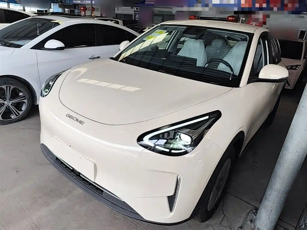 Geely Galaxy Starry Wish 2026 Model 310km Dream Edition