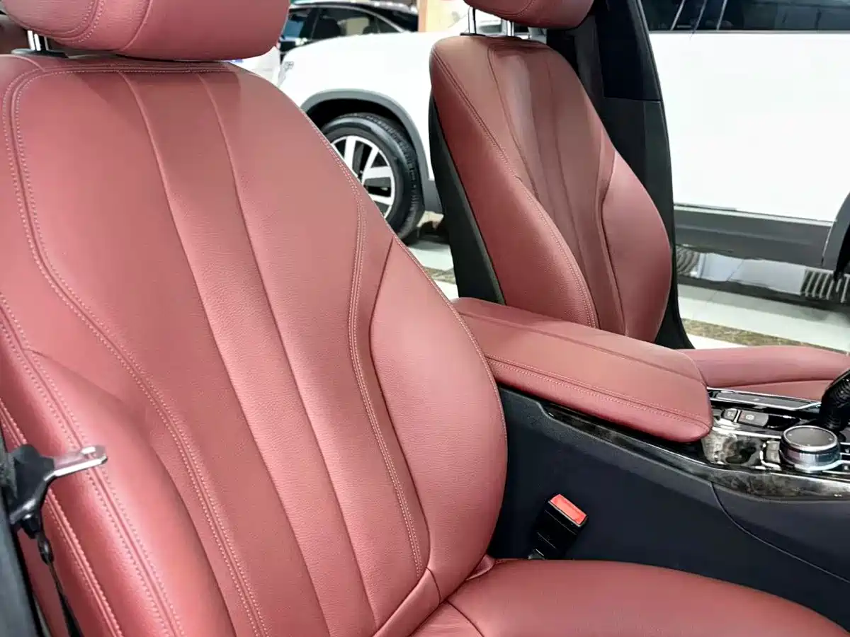 BMW 5 Series 2020 Model 530Li xDrive M Sport Package фото 5