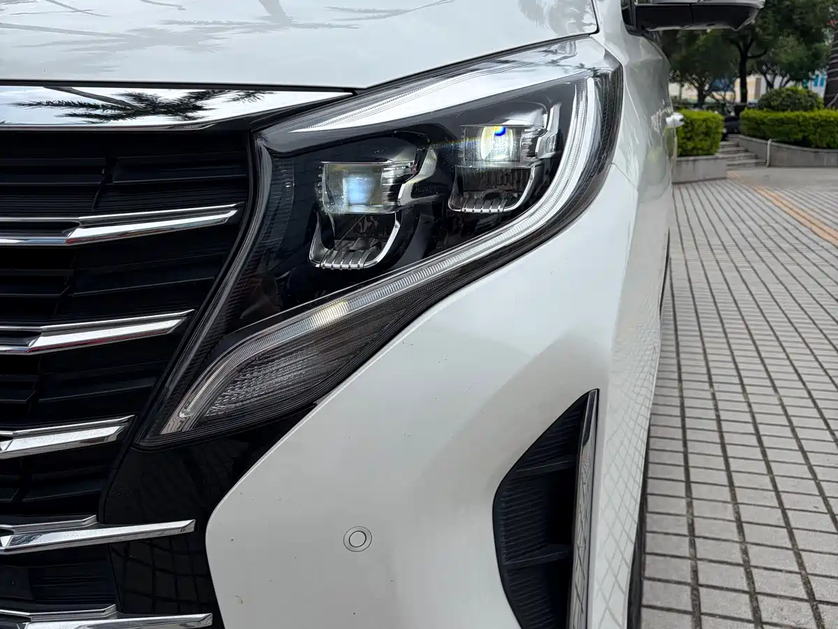 GAC Trumpchi Trumpchi M8 2021 Leading Show Series 390T Ultimate Edition фото 4