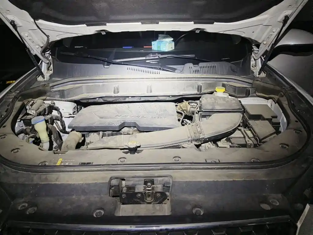 Haval F5 2019 2018 1.5T i-Trend
