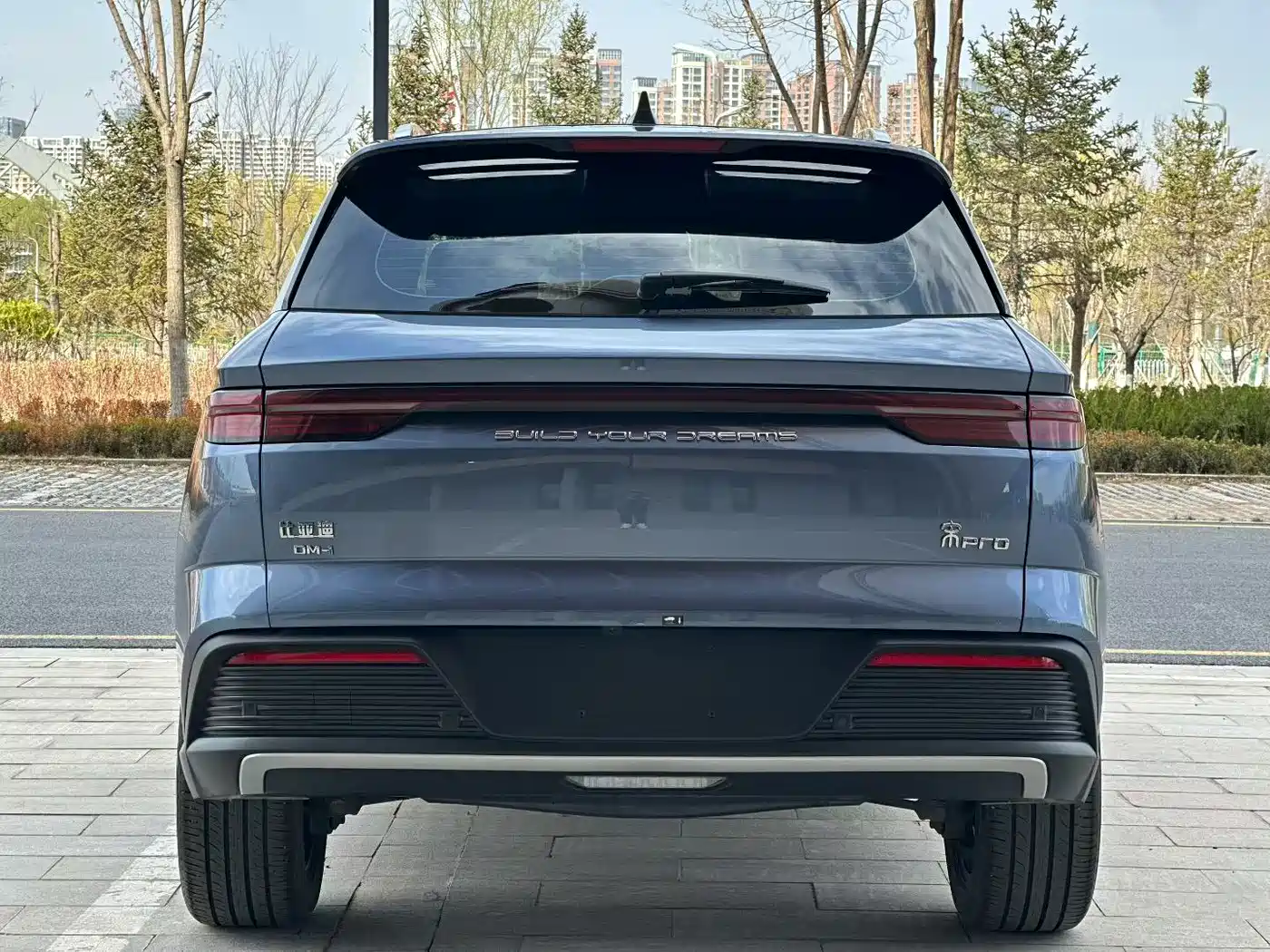 BYD SONGJIANG NEW ENERGY