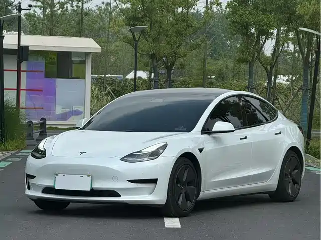 Tesla Model 3 2020