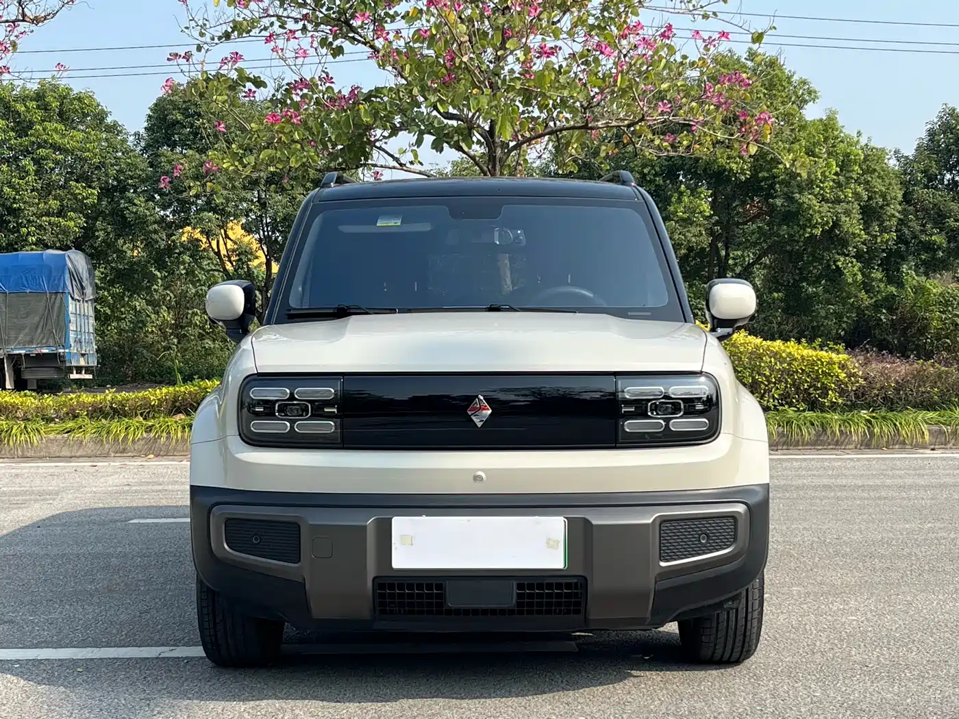 BAOJUN YUE ALSO PLUS