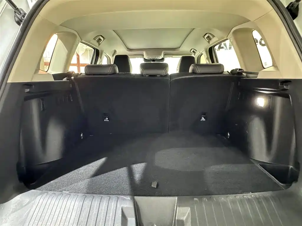 Haval Big Dog 2021 1.5T DCT 2WD Labrador Edition фото 9