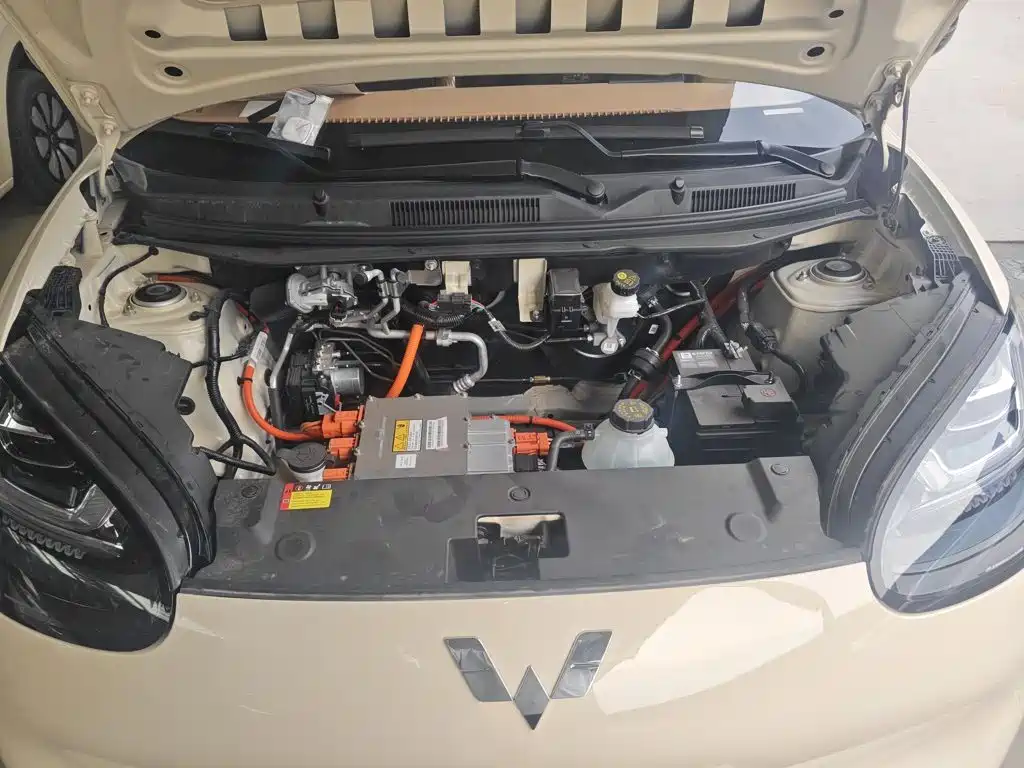 Wuling Motors Wuling Bingo 2026 2025 Model 333km Joy Edition