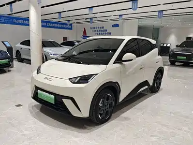 BYD Seagull