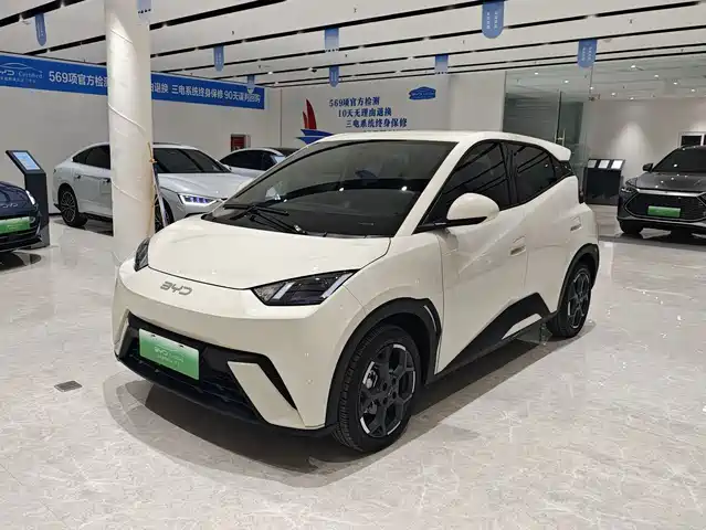 BYD Seagull Слава, 305km, Свобода