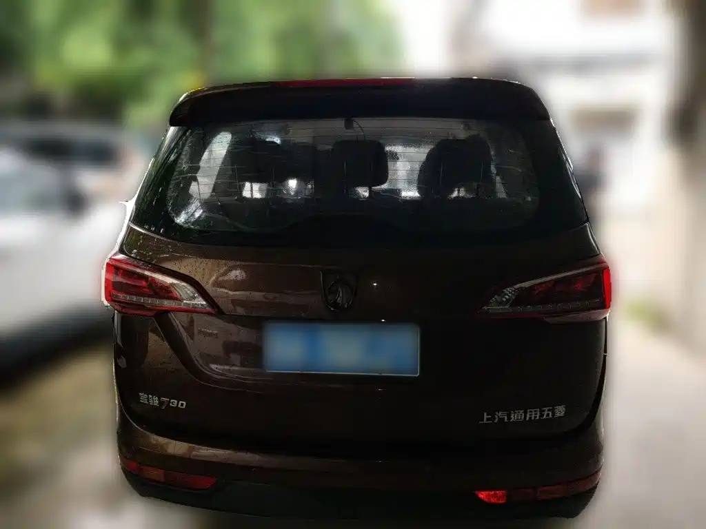 Baojun 730 2020 2019 1.5L Manual Fashion Edition 7-Seater China VI