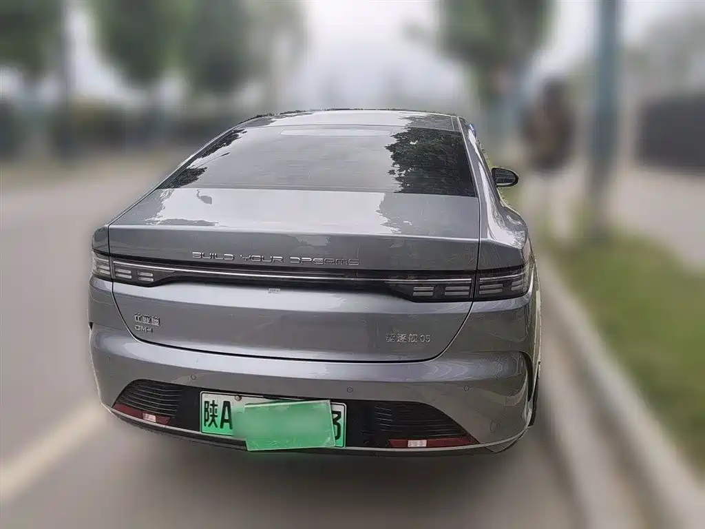 BYD Destroyer 05 2023 Champion Edition DM-i 55KM Luxury фото 4