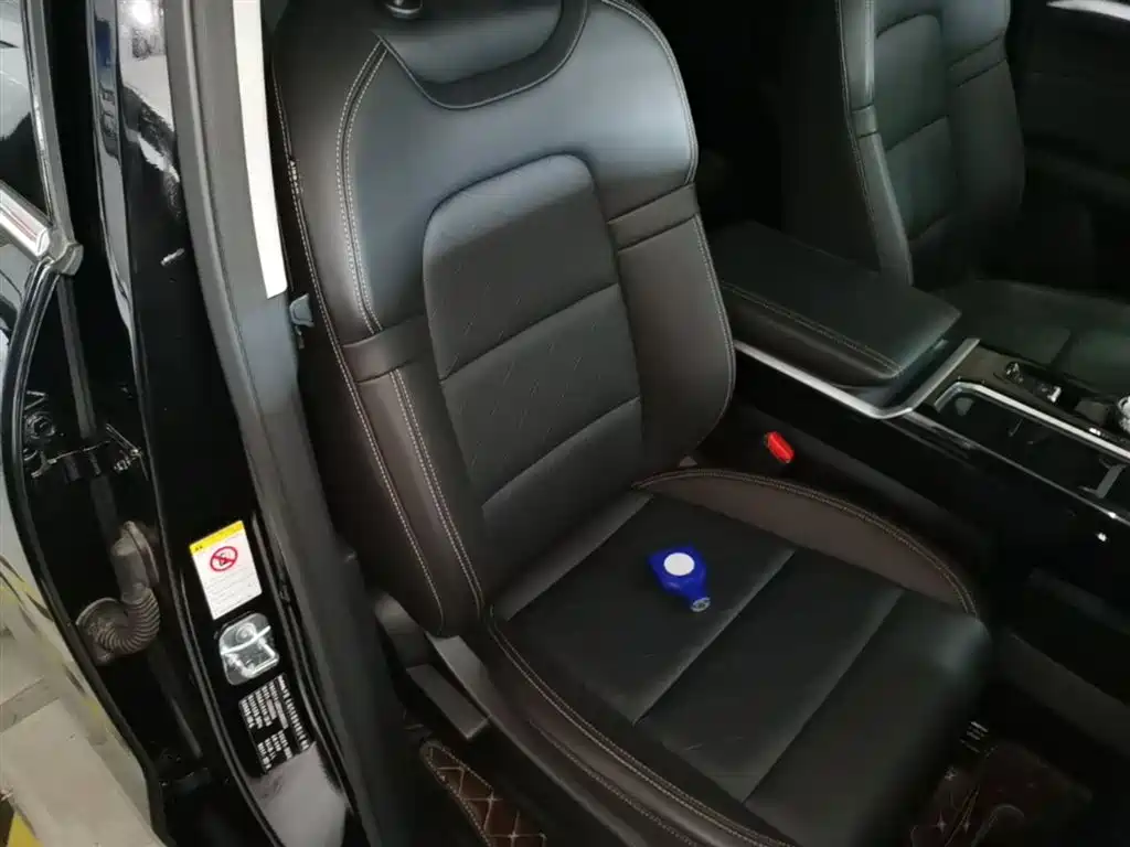 Haval Big Dog 2022 1.5T DCT FWD Border Collie Edition фото 25
