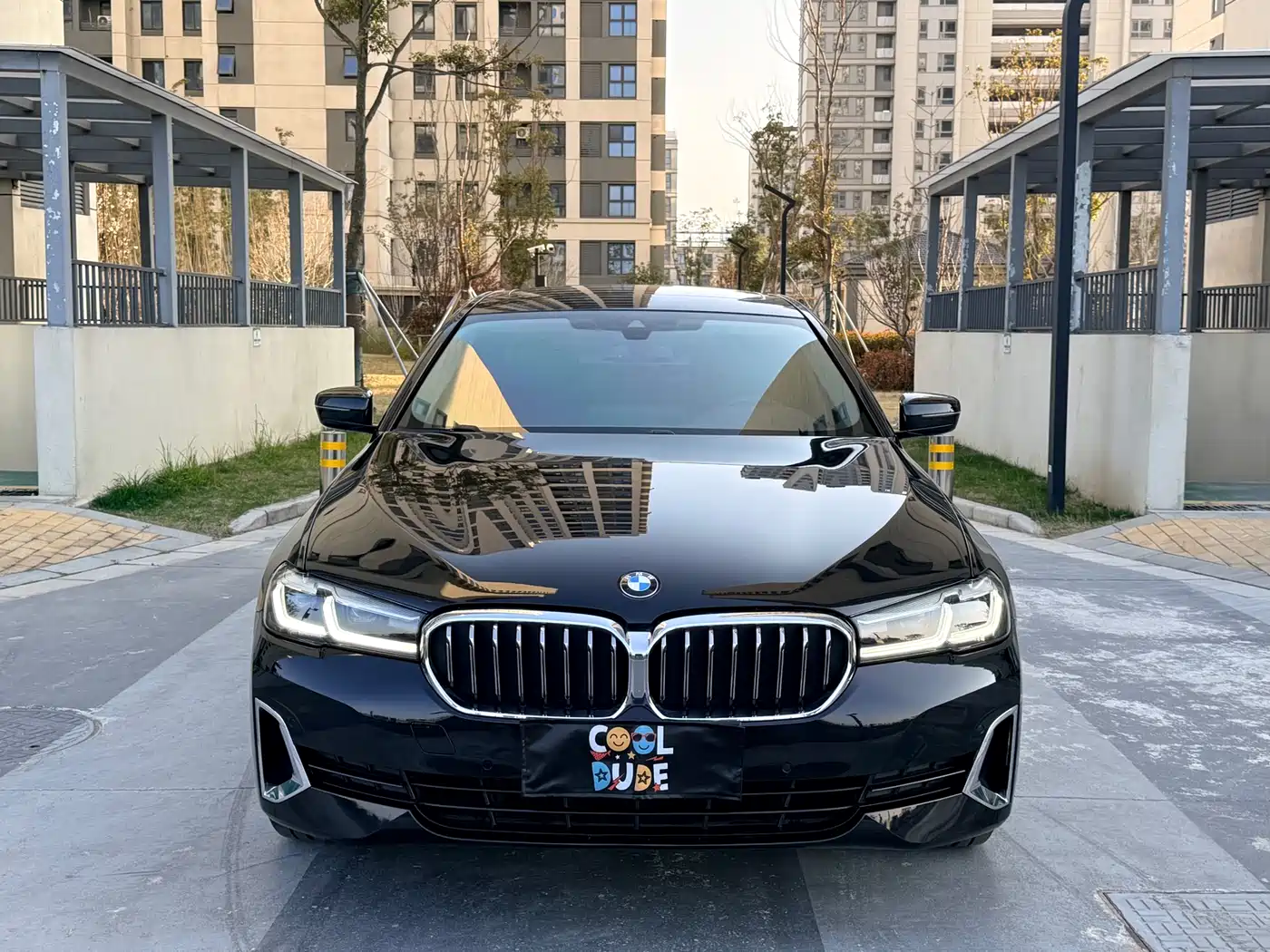 BMW 5 Series 2021 530Li Leading Luxury Package фото 2