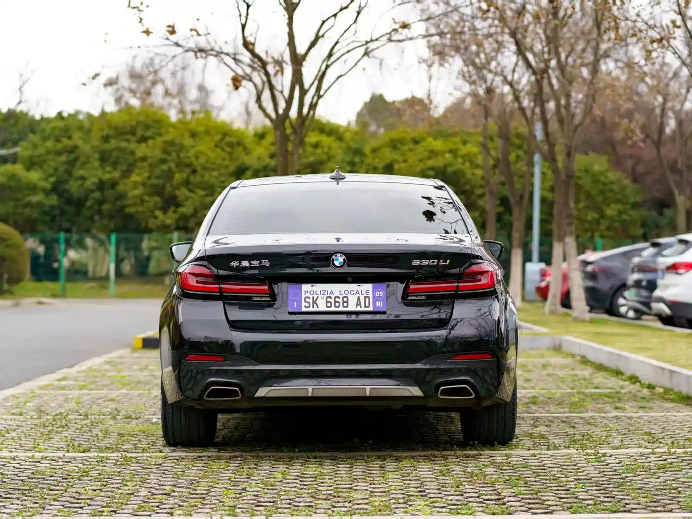 BMW 5 Series 2021 530Li Leading M Sport Package фото 5