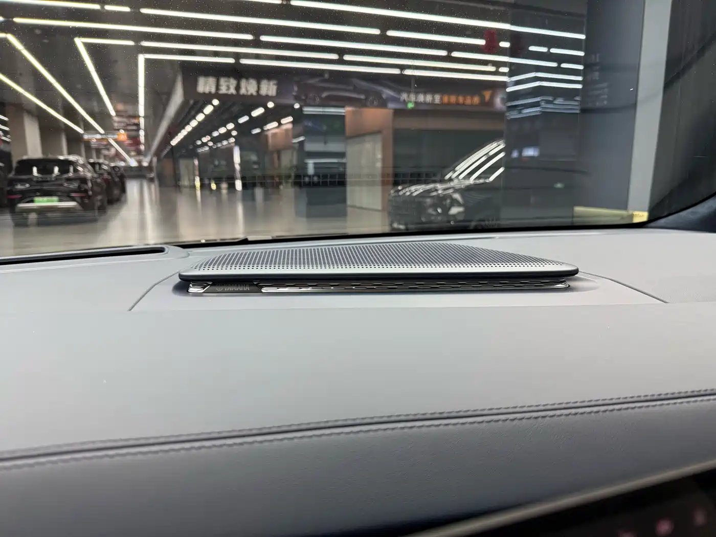 ZEEKR EXTREME KRYPTON 009