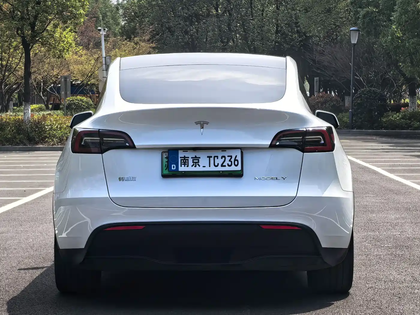 TESLA MODEL Y