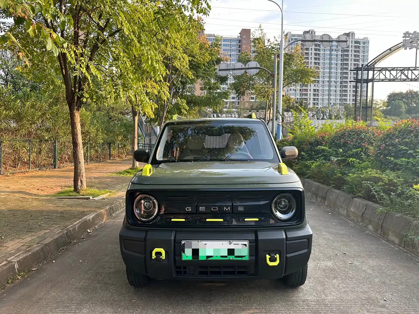 Geely Galaxy Panda 2025 2025 Model Year 210km Panda Knight