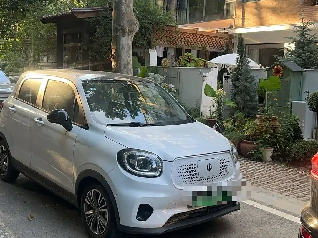 Leapmotor T03 2020 400 Luxury Edition