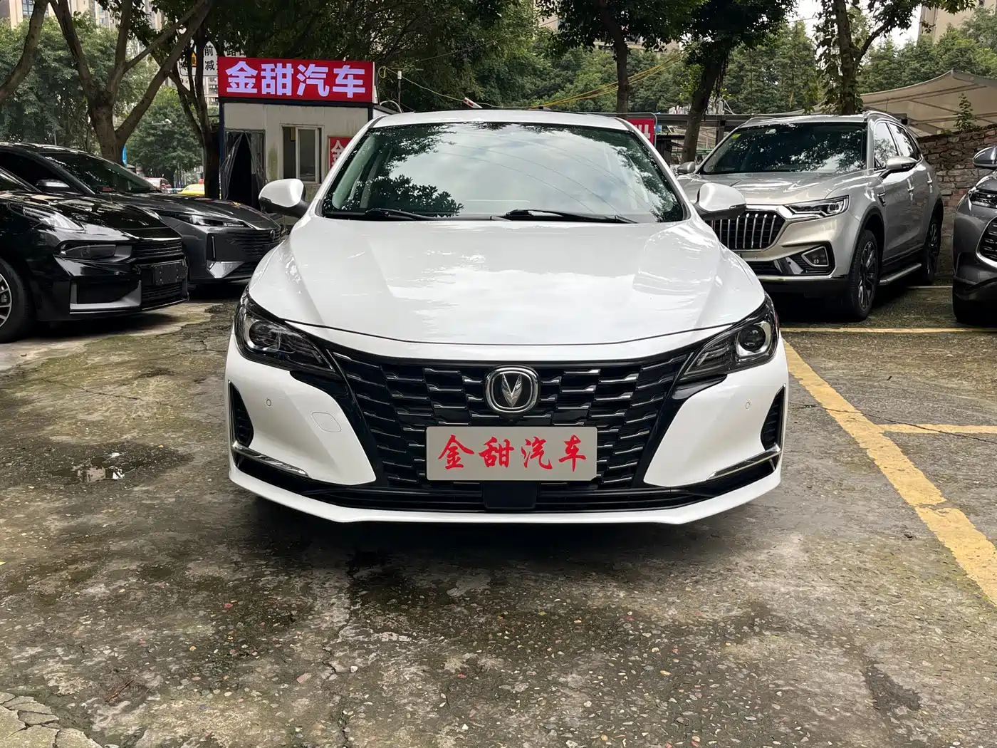 Changan Ruicheng CC 2022 2022 Blue Whale Edition 1.5T DCT Luxury