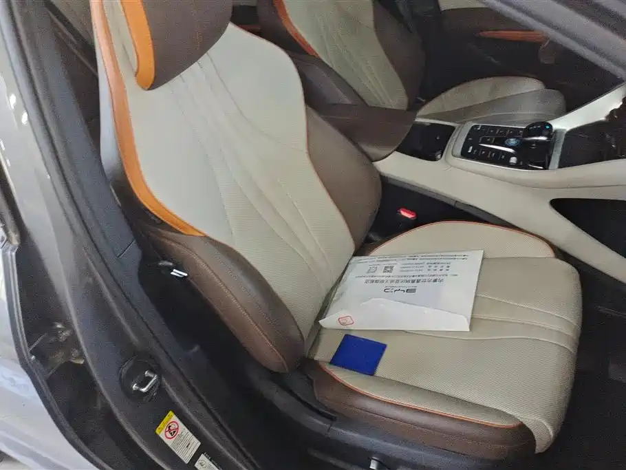BYD Song Pro New Energy 2023 Champion Edition DM-i 110KM Excellence фото 8
