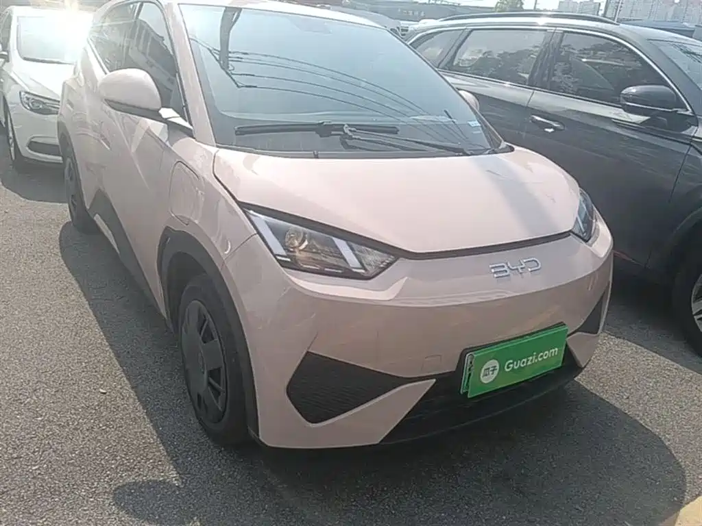 BYD Seagull 2025 Smart Drive Edition 305km Vitality Version фото 4