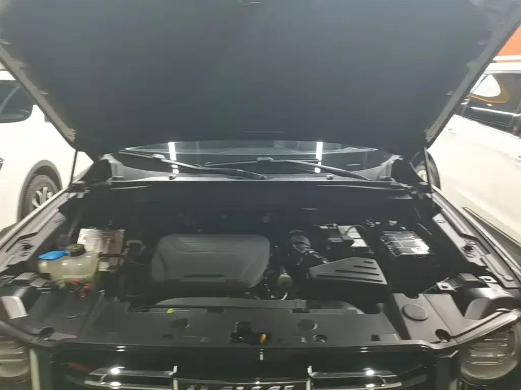 Haval Big Dog 2022 1.5T DCT FWD Border Collie Edition фото 20