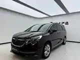 Фото 1 - Buick GL8