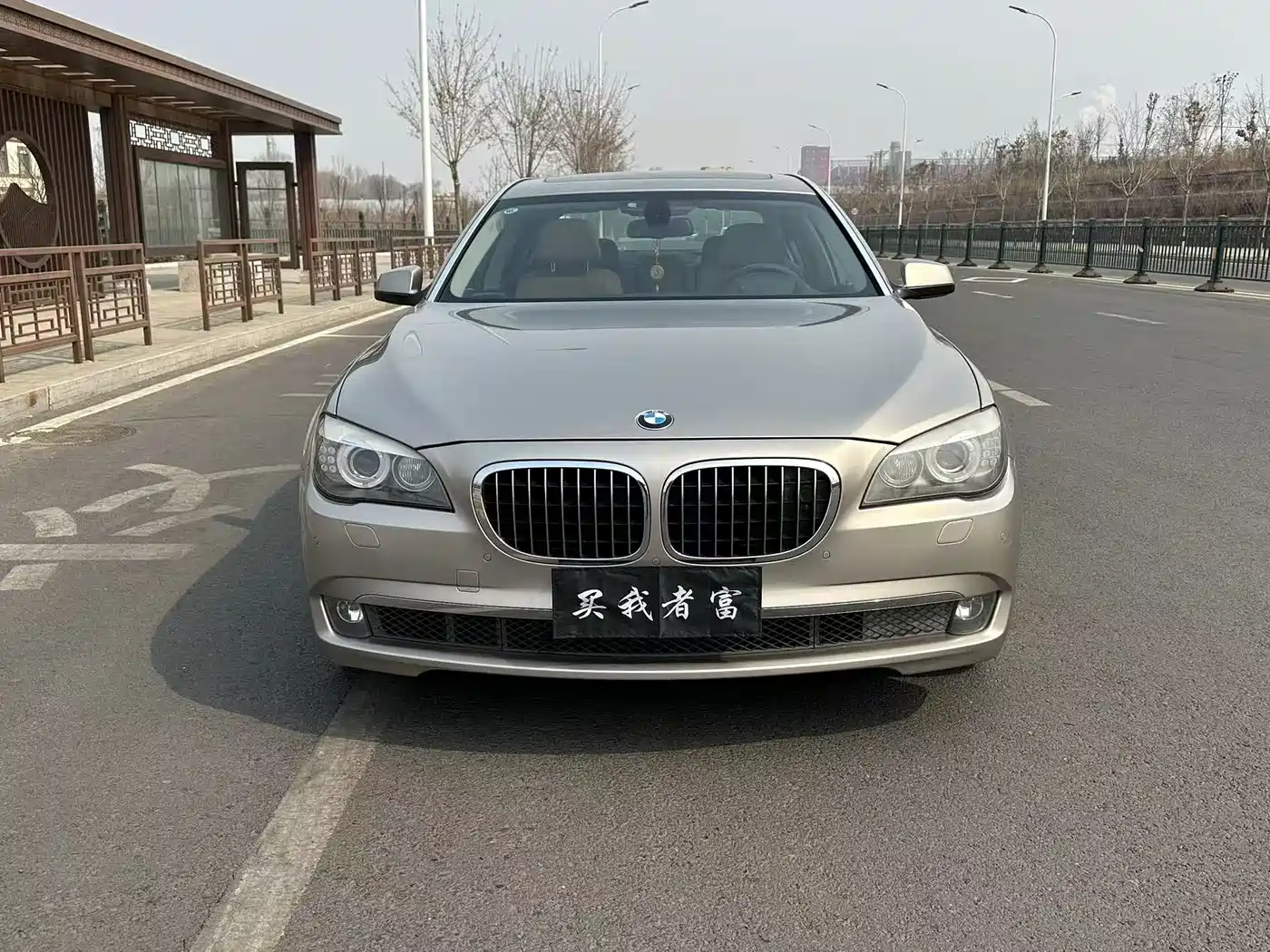 BMW 7 Series 2011 730Li Elegance фото 2
