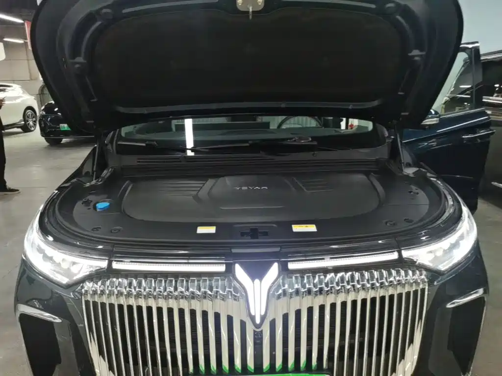 Фото 20 - Voyah Auto Voyah Dreamer