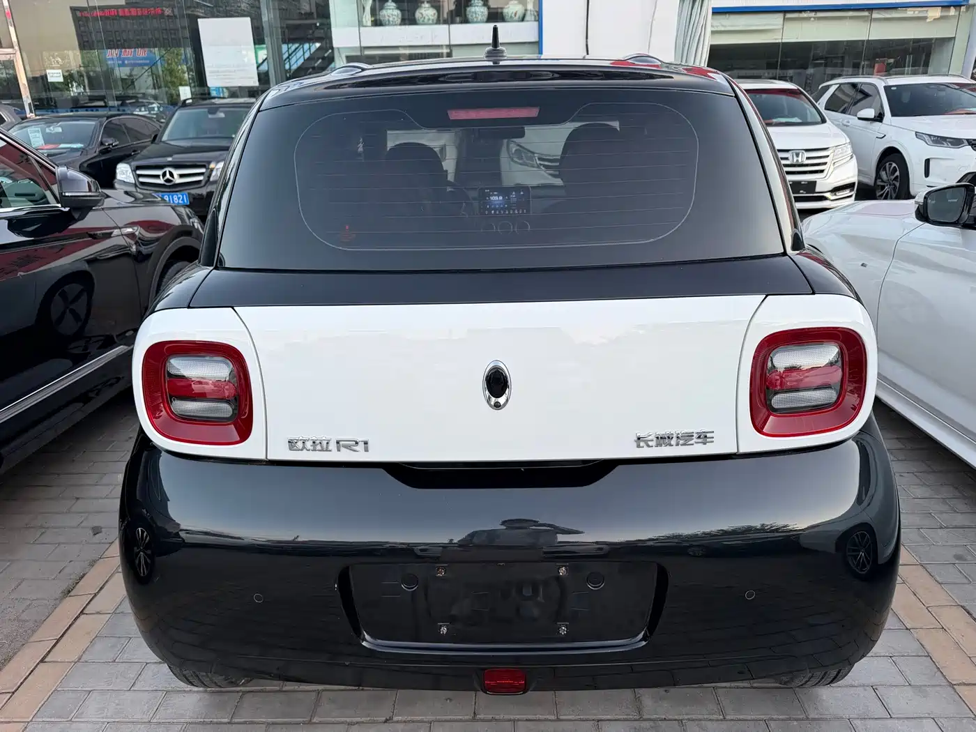 Ora Black Cat 2020 2021 301km Basic Model