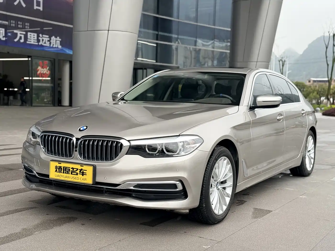 BMW 5 Series 2020 525Li Luxury Package