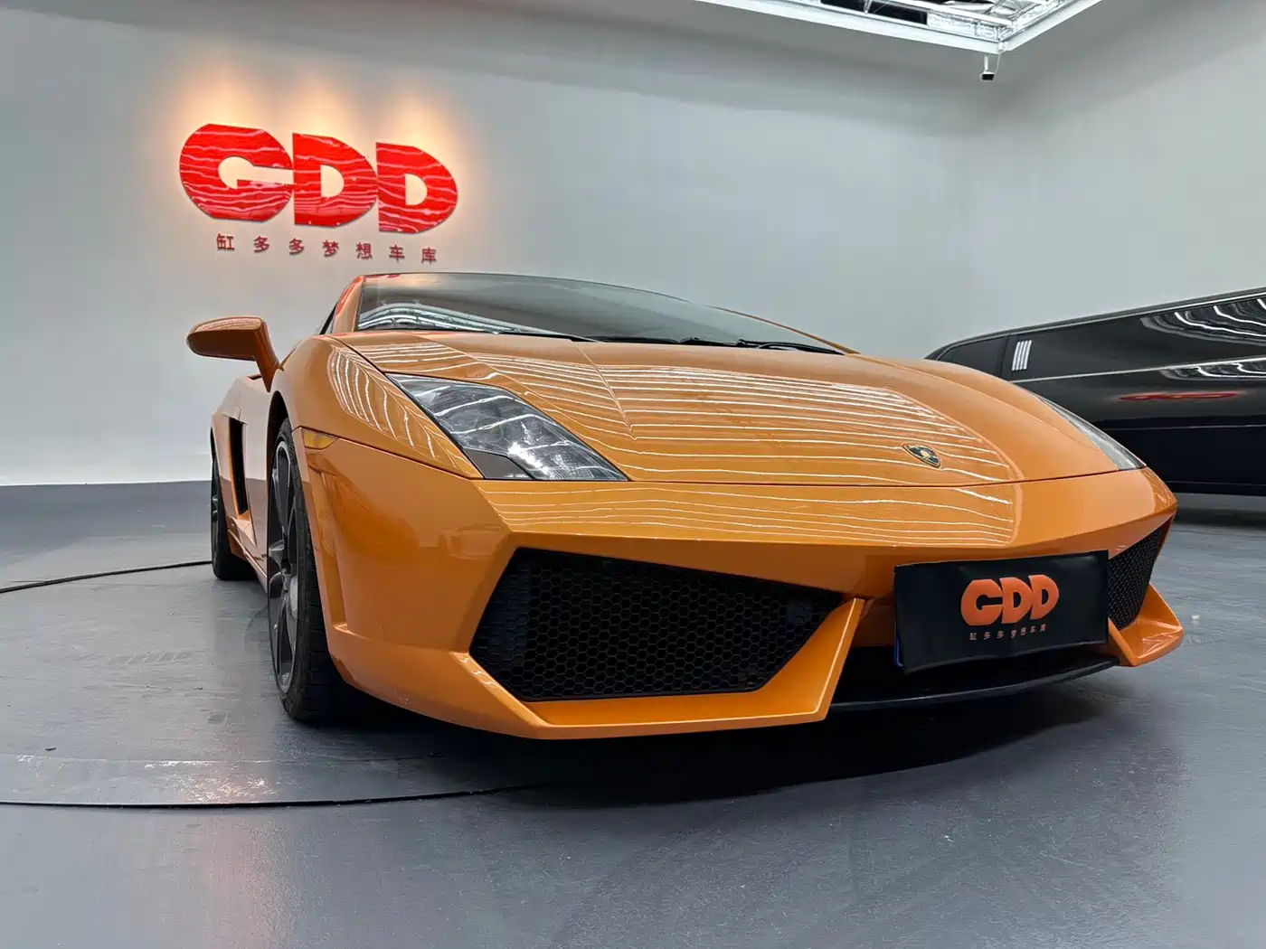 Lamborghini Gallardo 2011 Lamborghini Gallardo LP 560-4 Bicolore фото 9