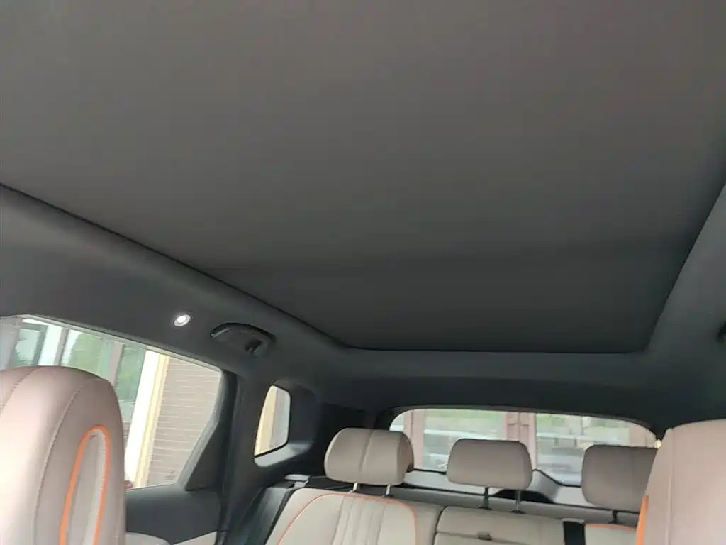 BYD Song Pro New Energy 2024 Glory Edition DM-i 110KM Excellence фото 18