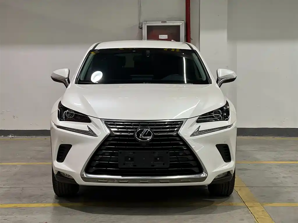 Lexus NX 2018 Model 200 FWD Fengxing Edition China V фото 2
