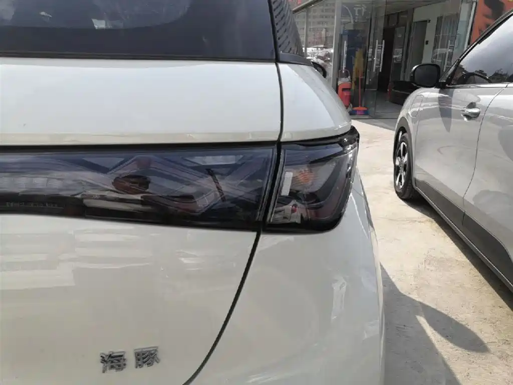 BYD Dolphin 2025 420km Freedom Edition фото 8