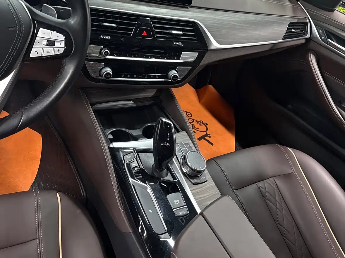 BMW 5 Series 2020 530Li xDrive Luxury Package фото 10