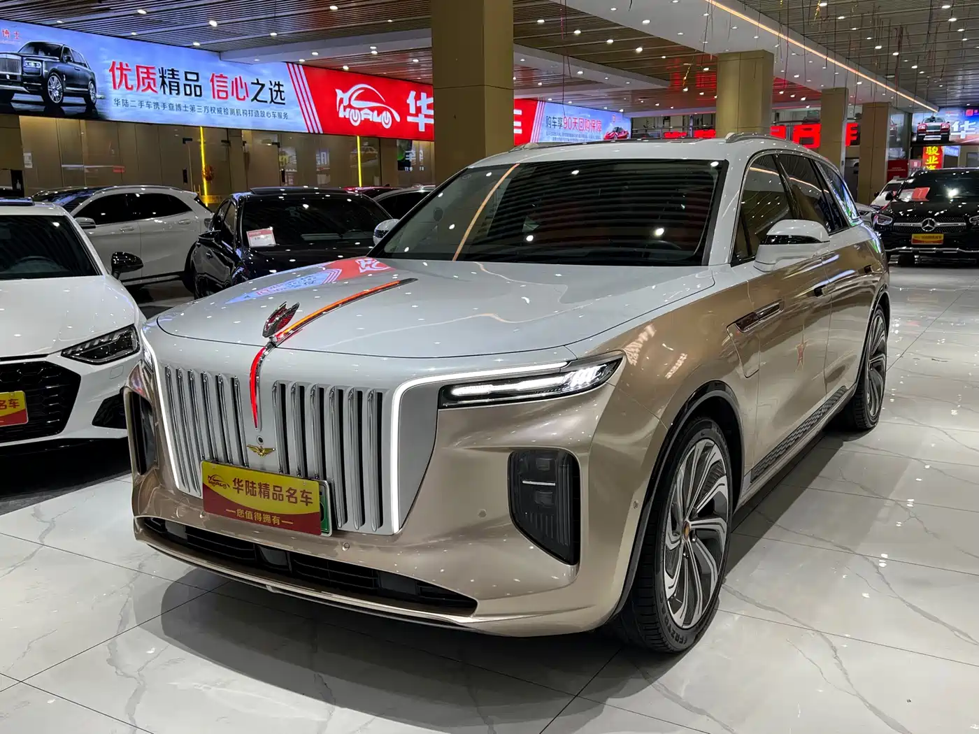Hongqi HONGQI E HS9
