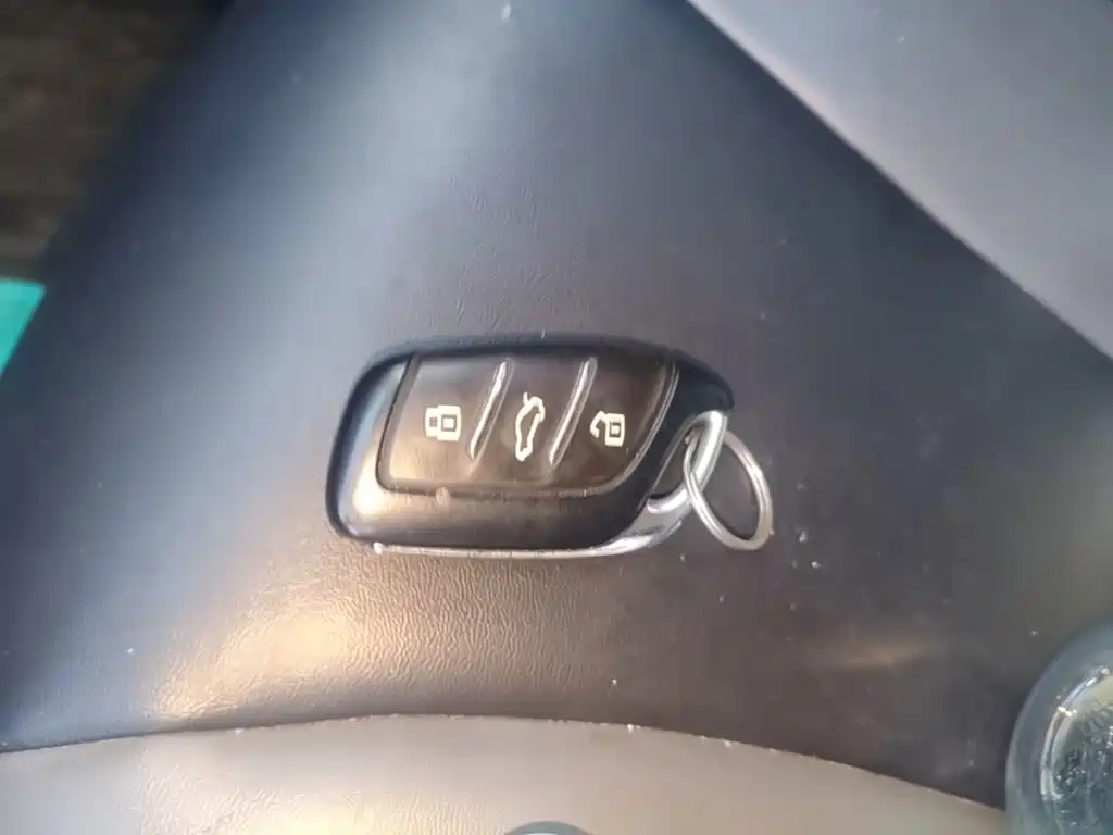 Roewe Kaiwei CLEVER 2023 2022 311km Vitality Bobo Edition