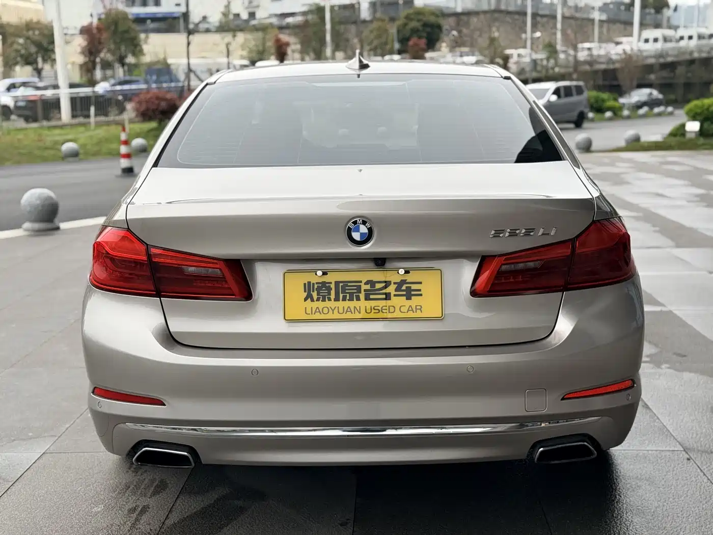 BMW 5 Series 2020 525Li Luxury Package фото 6