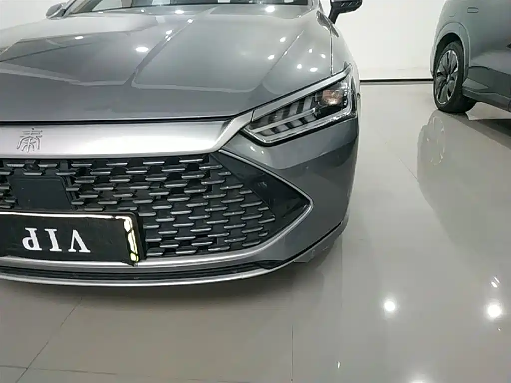 BYD Qin PLUS 2023 Champion Edition DM-i 120KM Excellence фото 24