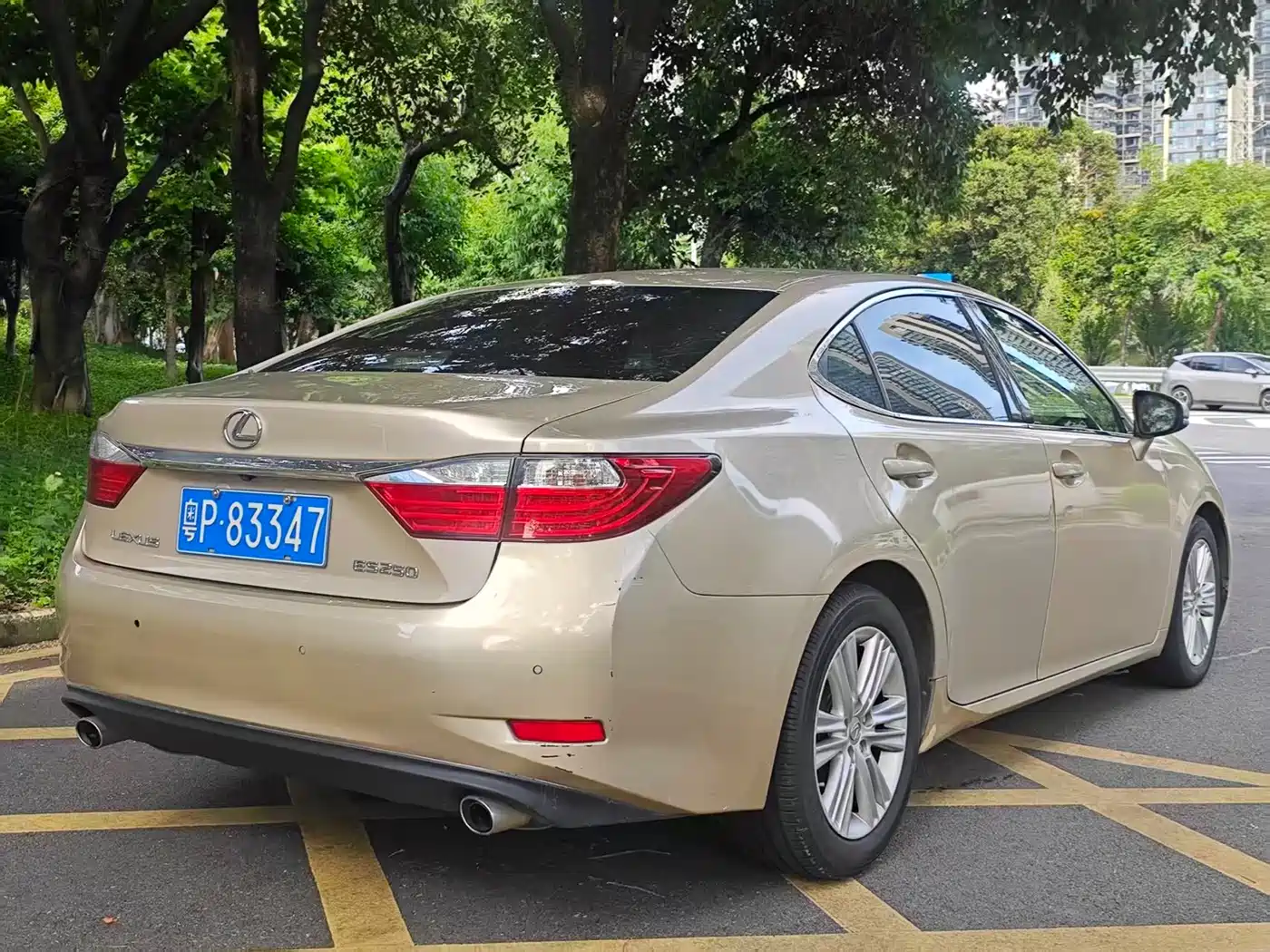Фото 11 - Lexus ES