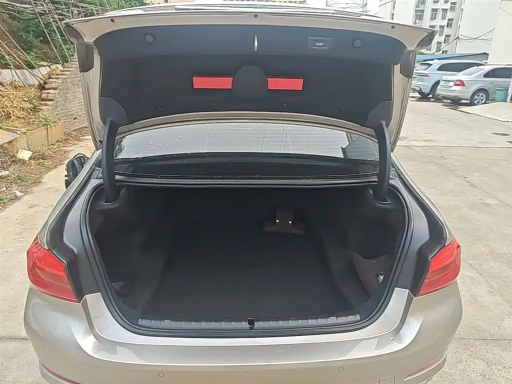 BMW 5 Series 2020 525Li Luxury Package фото 19