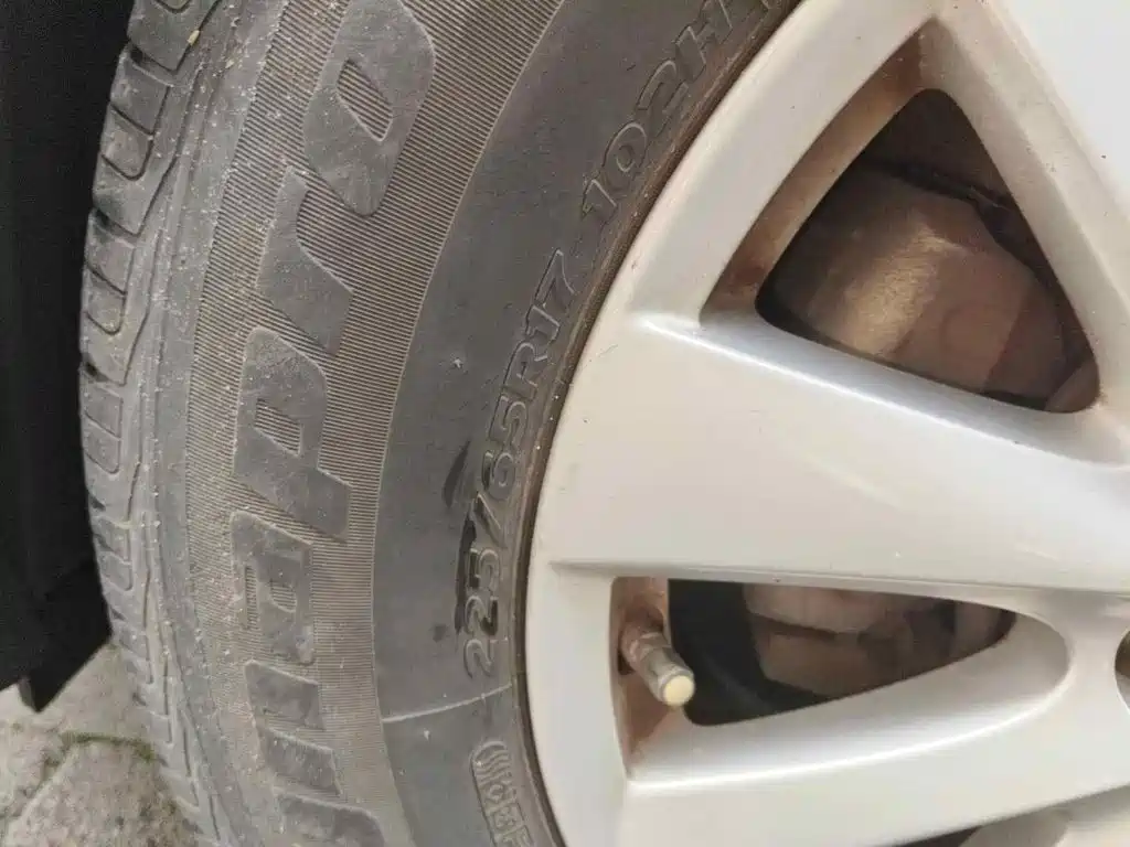 Mazda CX-5 (Import) 2013 2012 2.0L 2WD Comfort Edition