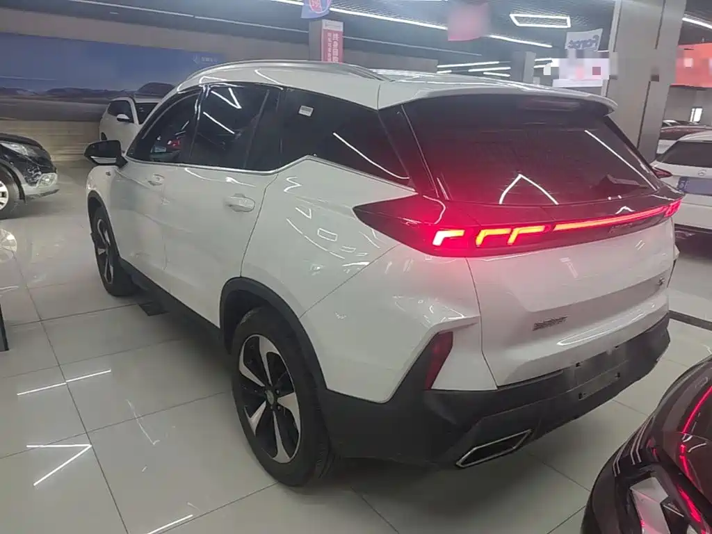 Фото 5 - Haima 8S